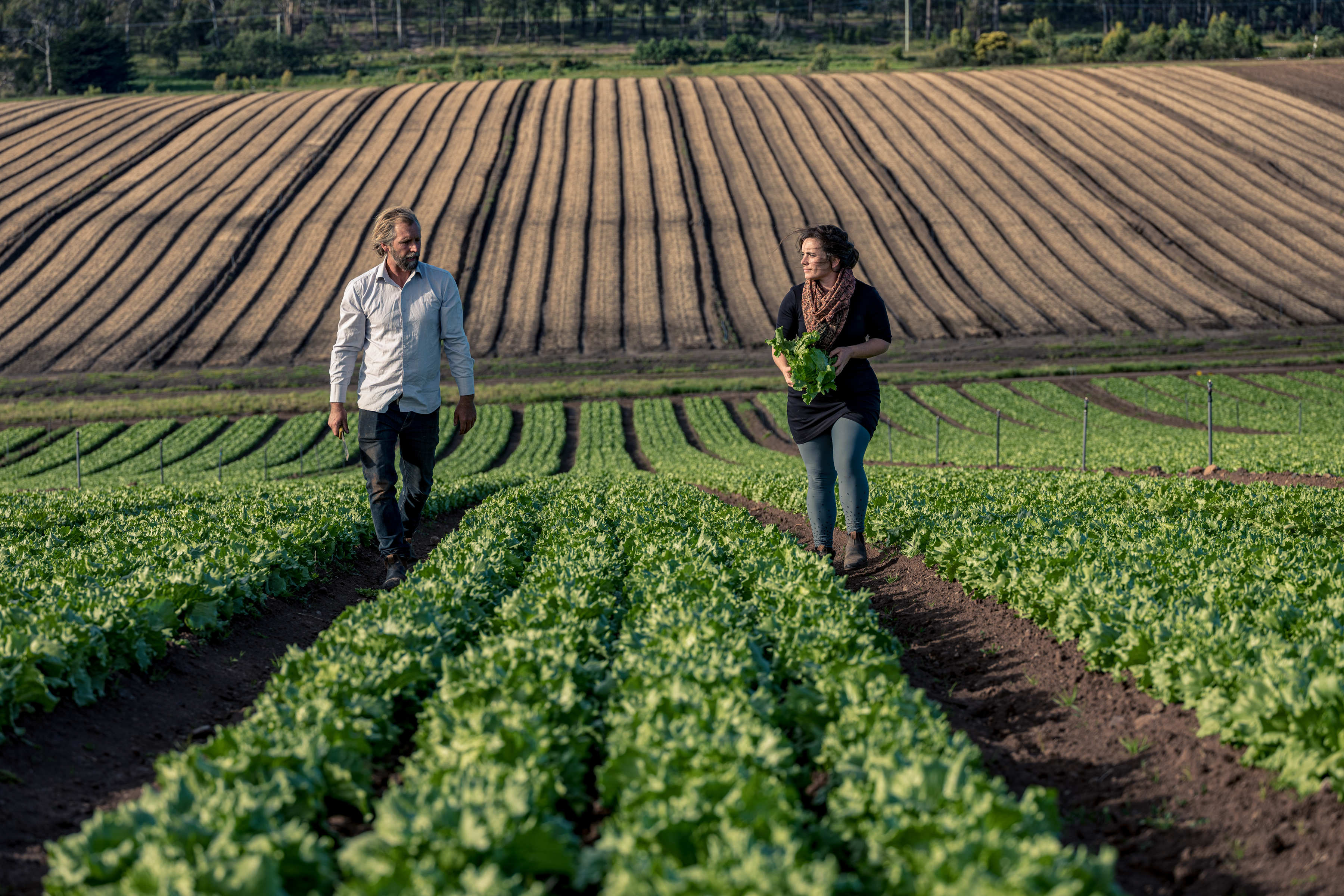 Amy and Ben Houston, Southern Fields, Southern Tasmania. Photo: Andrew Wilson.